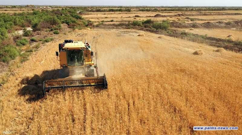 الأردن تدرس سبل استيراد القمح من العراق